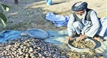 فروش علنی تریاک در خیابان‌های افغانستان