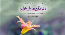 حکمت | تداوم مهر با احیای سنت قرض الحسنه / استاد حسینی قمی