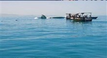 سقوط یک فروند هواپیما در آب‌های جزیره قشم