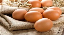 ازدحام برای خرید تخم‌مرغ در عربستان