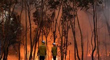 آتش‌ گسترده در پرجمعیت‌ترین شهر استرالیا