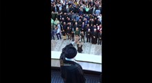 «پنجره»ای به مراسم سی و پنجمین سالگرد ارتحال حضرت امام خمینی