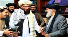 مشاور ارشد «بن لادن» در افغانستان