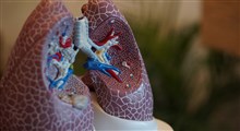 تصاویر ۳ بعدی از اثرات کرونا بر ریه انسان