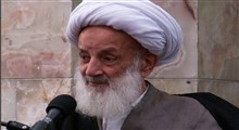 مراقب موش دزد باشید/ آیت الله مجتهدی تهرانی