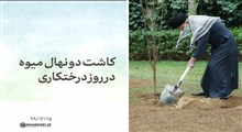 کاشت دو نهال میوه در روز درختکاری توسط مقام معظم رهبری