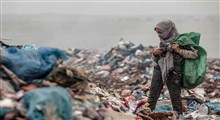 گاری های زباله گرد در تهران روزانه ۱۳۰۰ تن زباله خشک جابجا می کنند