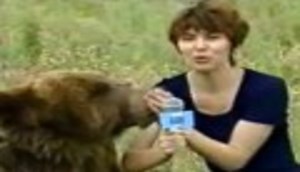 لحظه وحشتناک حمله ناگهانی خرس به خبرنگار زن