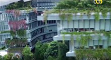 عجایب معماری و شهر سازی مدرن در سنگاپور