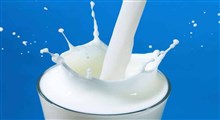 چه شیری مصرف کنیم؟/ دکتر مژده پورحسینی