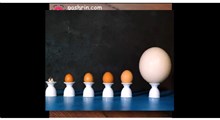 ترفند | ترفند های جدید برای پخت تخم مرغ در خانه