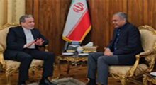 وزیر کشور پاکستان با عراقچی دیدار کرد