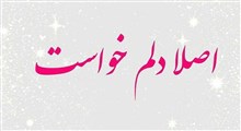 حکمت | هر چی دلت خواست انجام دادی؟ / استاد توکلی