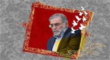 نقش داشتن صهیونیست‌ها در ترور دانشمند ایرانی!