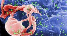 ویروس ابولا، سلاح بیولوژیکی ساخت آمریکا
