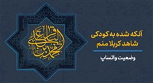 وضعیت واتساپ شهادت امام باقر علیه السلام | محمدحسین حدادیان