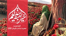 استوری آغاز امامت امام زمان (عج)