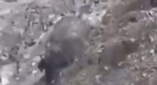 ویدئویی هولناک از لحظه ریزش کوه در محور خوش ییلاق