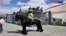 پلیس های اسب سوار در ورزشگاه آزادی
