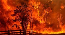 تصاویری جدید از آتش سوزی گسترده در استرالیا