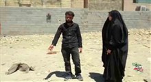 روایت تنها بازمانده‌ی یک خانواده ده نفره در اصفهان