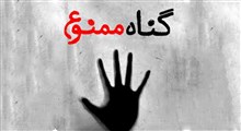 حکمت | اگر زمینه گناه پیش اومد ... / استاد حسینی قمی