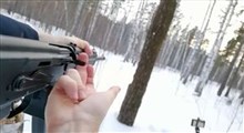 ویدیویی از قطع کردن تنه یک درخت با تفنگ