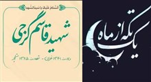 مجموعه یک تکه از ماه/شهید قاسم گرجی