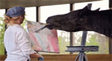 استعداد عجیب یک اسب در هنر نقاشی!