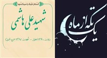 مجموعه یک تکه از ماه/شهید علی هاشمی