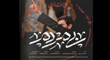 ایام فاطمیه/مهدی رسولی/بی مردم