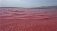 آب‌های عمان قرمز شده‌اند!