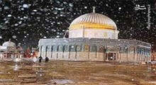 تصاویری دیدنی از بارش برف در مسجد الاقصی