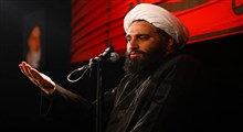 سرنوشت نامه که امیرالمؤمنین برای محمد بن ابی بکر نوشت/ استاد حامد کاشانی