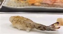 سرو سوشی با میگوی زنده در ژاپن