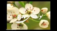 واژگان وحی- ترجمه و شرح کلمات سوره مبارکه مطففین-قسمت سوم
