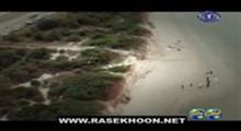 جمجمه ای کنار ساحل 2