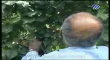 خاطرات مشترک-  قره چای 7