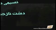 آموزش کشت گوجه فرنگی / قسمت 1