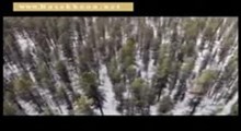 4-نجات از سرمای زمستان در جنگل