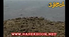 مستند راز بقا - قسمت ششم