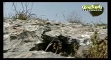 قسمت اول: سرزمین صلح 1