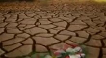دلیل اصرار وهابیت بر ادای نماز جماعت و جمعه