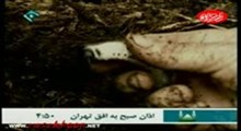 مستند حشرات 2 _ قطعه دوم
