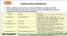 12.Caching _ Cache entry attributes