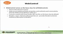 11.Custom Controls _ WebControl