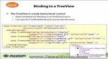 10.Data Binding II _ XmlDataSource and the TreeView