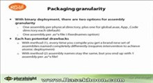 7.Deployment _Packaging granularity