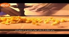 حک شده در سنگ _ بخش دوم