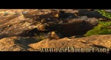 رود خروشان-3